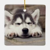 Sweet Siberian Husky Puppy Sleeping Keramisch Ornament (Achterkant)