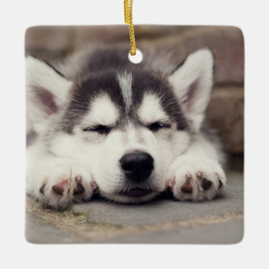 Sweet Siberian Husky Puppy Sleeping Keramisch Ornament (Voorkant)