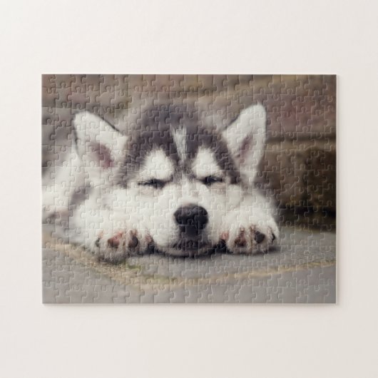 Sweet Siberian Husky Puppy Sleeping Legpuzzel (Horizontaal)