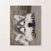 Sweet Siberian Husky Puppy Sleeping Legpuzzel (Verticaal)