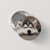 Sweet Siberian Husky Puppy Sleeping Ronde Button 3,2 Cm (Voorkant /achterkant)