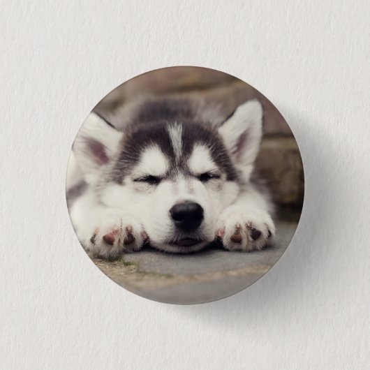 Sweet Siberian Husky Puppy Sleeping Ronde Button 3,2 Cm (Voorkant)