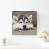 Sweet Siberian Husky Puppy Sleeping Vierkante Klok (Huis)