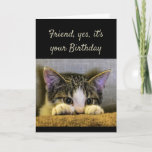 Sweet Sind Caring Friend Birthday Cute Kitten Kaart<br><div class="desc">Vriend,  het zijn jullie vrienden van de Birthday net zo lief als jullie moeilijk te vinden zijn.  Ik ben zo blij dat we elkaar hebben gevonden.   Laat me    Cute kitten uitkijken.</div>