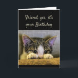 Sweet Sind Caring Friend Birthday Cute Kitten Kaart<br><div class="desc">Vriend,  het zijn jullie vrienden van de Birthday net zo lief als jullie moeilijk te vinden zijn.  Ik ben zo blij dat we elkaar hebben gevonden.   Laat me    Cute kitten uitkijken.</div>