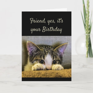 Sweet Sind Caring Friend Birthday Cute Kitten Kaart