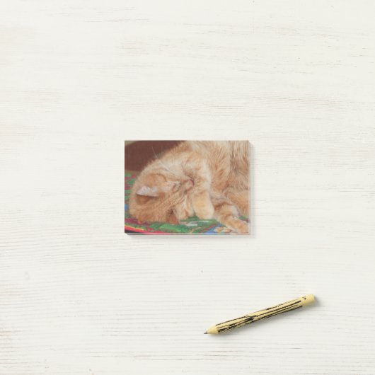 Sweet Slaapende Ginger Boy Post-it® Notes (Op bureau)