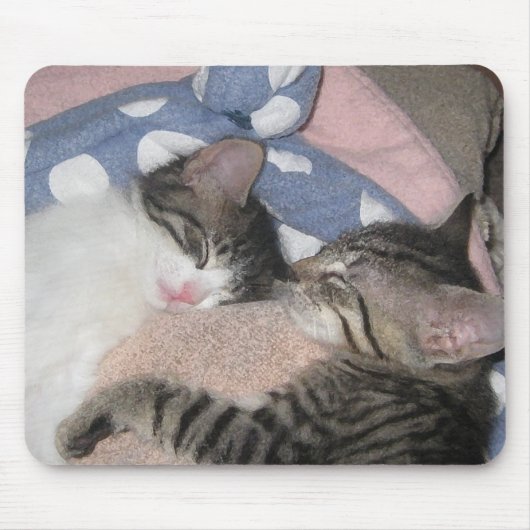 Sweet Slaping Kittens Muismat (Voorkant)