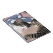 Sweet Slaping Kittens Notitieboek (Rechterzijde)
