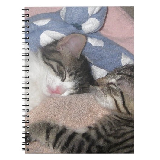 Sweet Slaping Kittens Notitieboek (Voorkant)