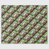 Sweet Sloth Cadeaupapier (Vlak)