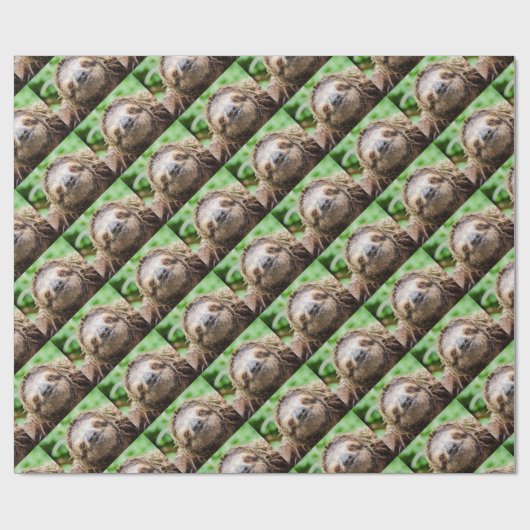 Sweet Sloth Cadeaupapier (Vlak)