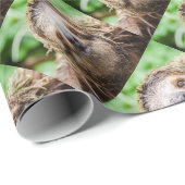 Sweet Sloth Cadeaupapier (Rol Hoek)