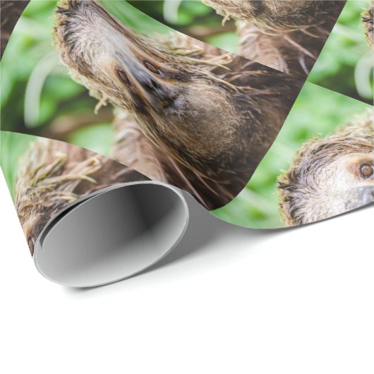 Sweet Sloth Cadeaupapier (Rol Hoek)