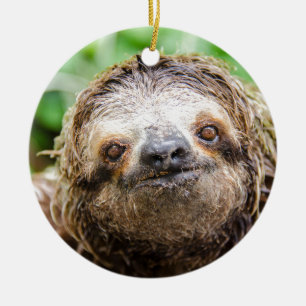 Sweet Sloth Keramisch Ornament