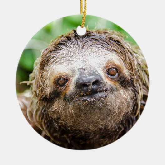 Sweet Sloth Keramisch Ornament (Voorkant)