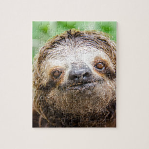 Sweet Sloth Legpuzzel