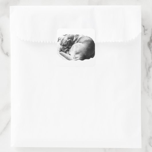 Sweet Slumber Vierkante Sticker (Tas)