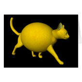 Sweet-Sour Lemon Cat (Voorkant Horizontaal)