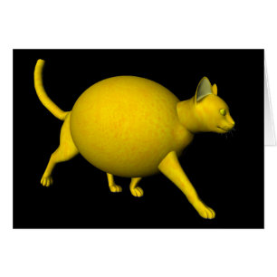 Sweet-Sour Lemon Cat