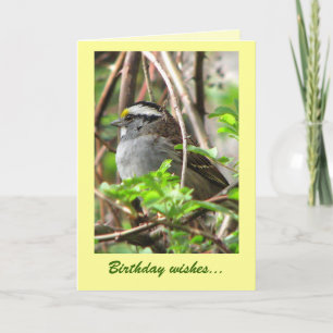 Sweet Sparrow Birthday Kaart
