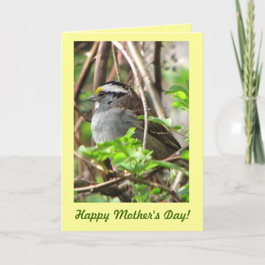 Sweet Sparrow voor Moederdag Kaart (Voorkant)