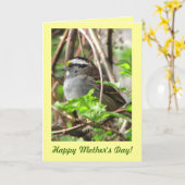Sweet Sparrow voor Moederdag Kaart (Gele Bloem)