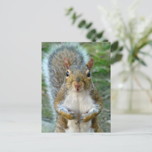 Sweet Squirrel Face Briefkaart (Staand voorkant)