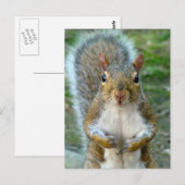 Sweet Squirrel Face Briefkaart (Voorkant / Achterkant)