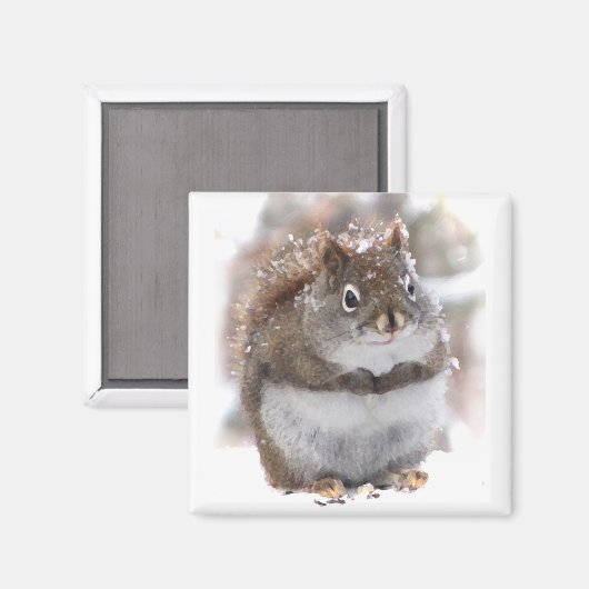 Sweet Squirrel Magneet (Voorkant / Achterkant)