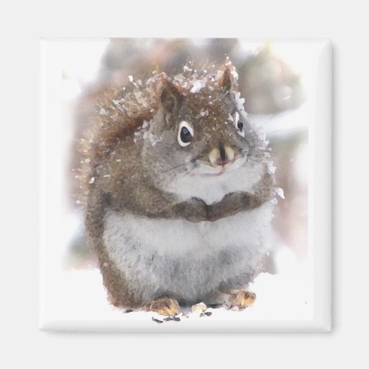 Sweet Squirrel Magneet (Voorkant)