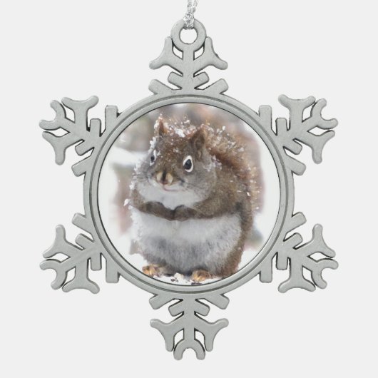 Sweet Squirrel Tin Sneeuwvlok Ornament (Voorkant)