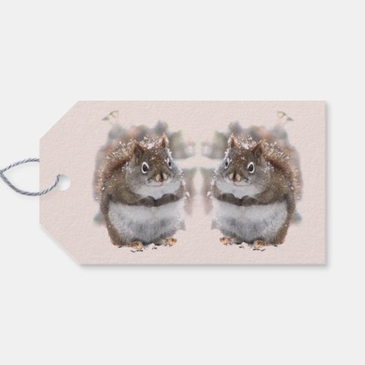 Sweet Squirrrels Pak van Gift Labels Cadeaulabel (Achterkant Horizontaal)