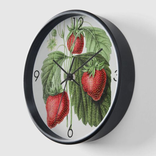 Sweet Strawberry  (Hoek)