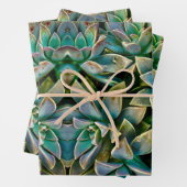 Sweet Succulent Wrapping Paper Sheets (In situ)
