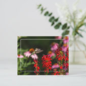 Sweet Summer Briefkaart (Staand voorkant)