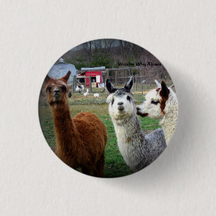 Sweet Suri Alpacas van Wonder Ronde Button 3,2 Cm