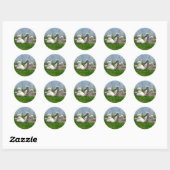 Sweet Swan Baby's - Sticker (Vel)