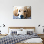 Sweet, Sweet Puppy Canvas Afdruk (Insitu (Slaapkamer))