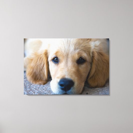 Sweet, Sweet Puppy Canvas Afdruk (Voorkant)