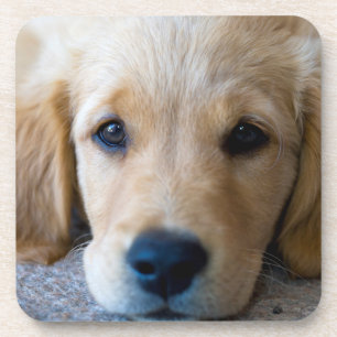 Sweet, Sweet Puppy Drankjes Onderzetter