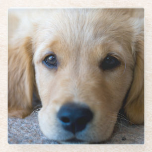 Sweet, Sweet Puppy Glazen Onderzetter