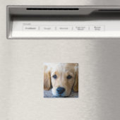 Sweet, Sweet Puppy Magneet (Insitu (Vaatwasser))