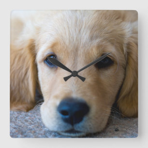 Sweet, Sweet Puppy Vierkante Klok