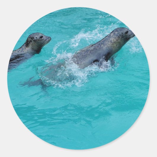 Sweet Swimming Seals Couple Ronde Sticker (Voorkant)
