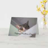 Sweet Tabby Cat Happy Mothers Day Kaart (Gele Bloem)
