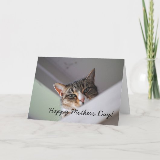 Sweet Tabby Cat Happy Mothers Day Kaart (Voorkant)