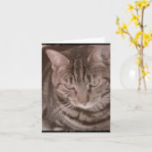 Sweet Tabby Cat-kaart Kaart (Gele Bloem)