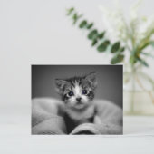 Sweet Tabby Kitten Briefkaart (Staand voorkant)