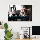 Sweet Tabby Poster (Thuiskantoor)
